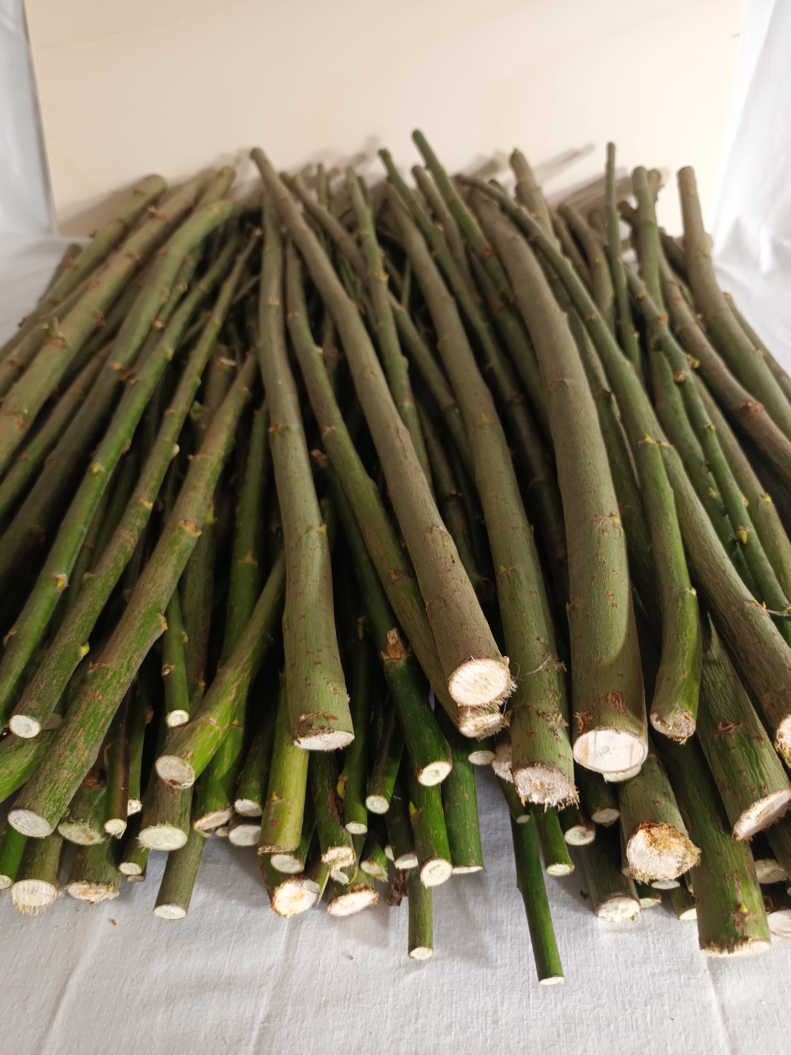 10 Weidenstäbe – 30 cm – Ø 0–2 cm – Natur, Holz, DIY, Basteln