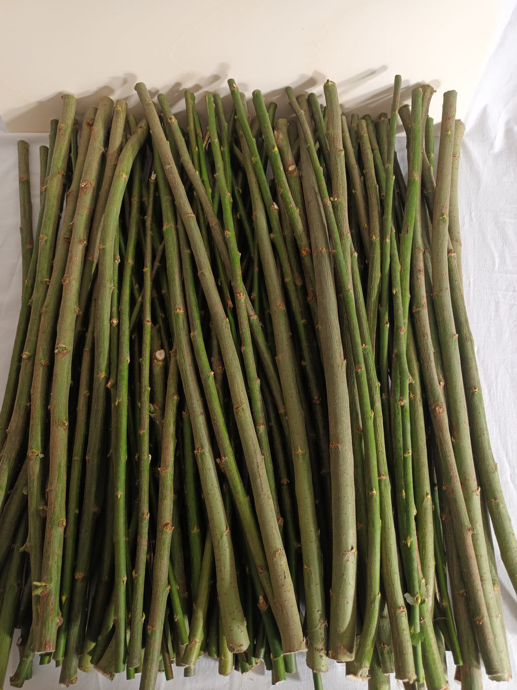 10 Weidenstäbe – 60 cm – Ø 0–3 cm – Natur, Holz, DIY, Basteln