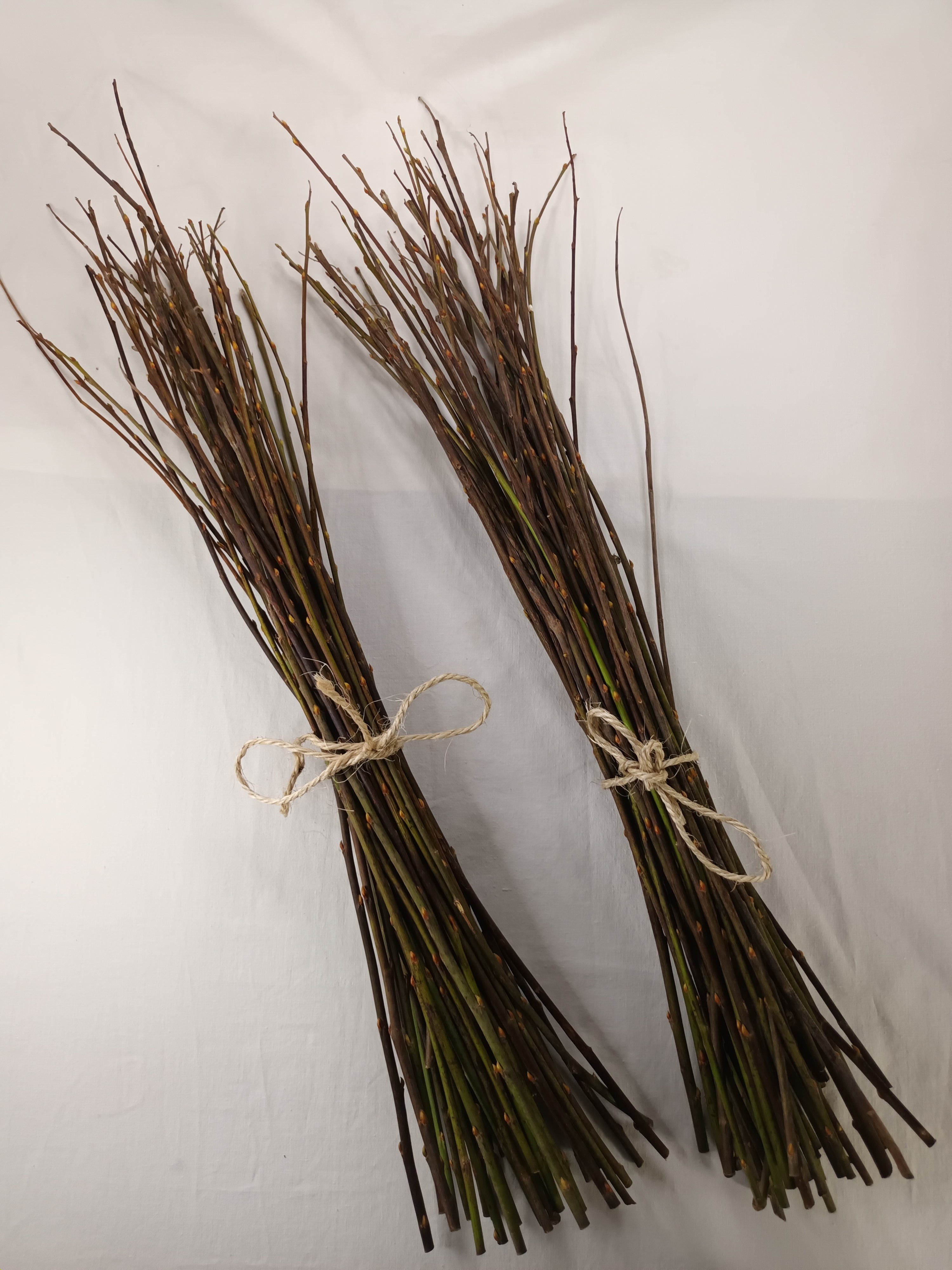 50 Weidenzweige – 50–60 cm – Natur, Holz, DIY, Basteln