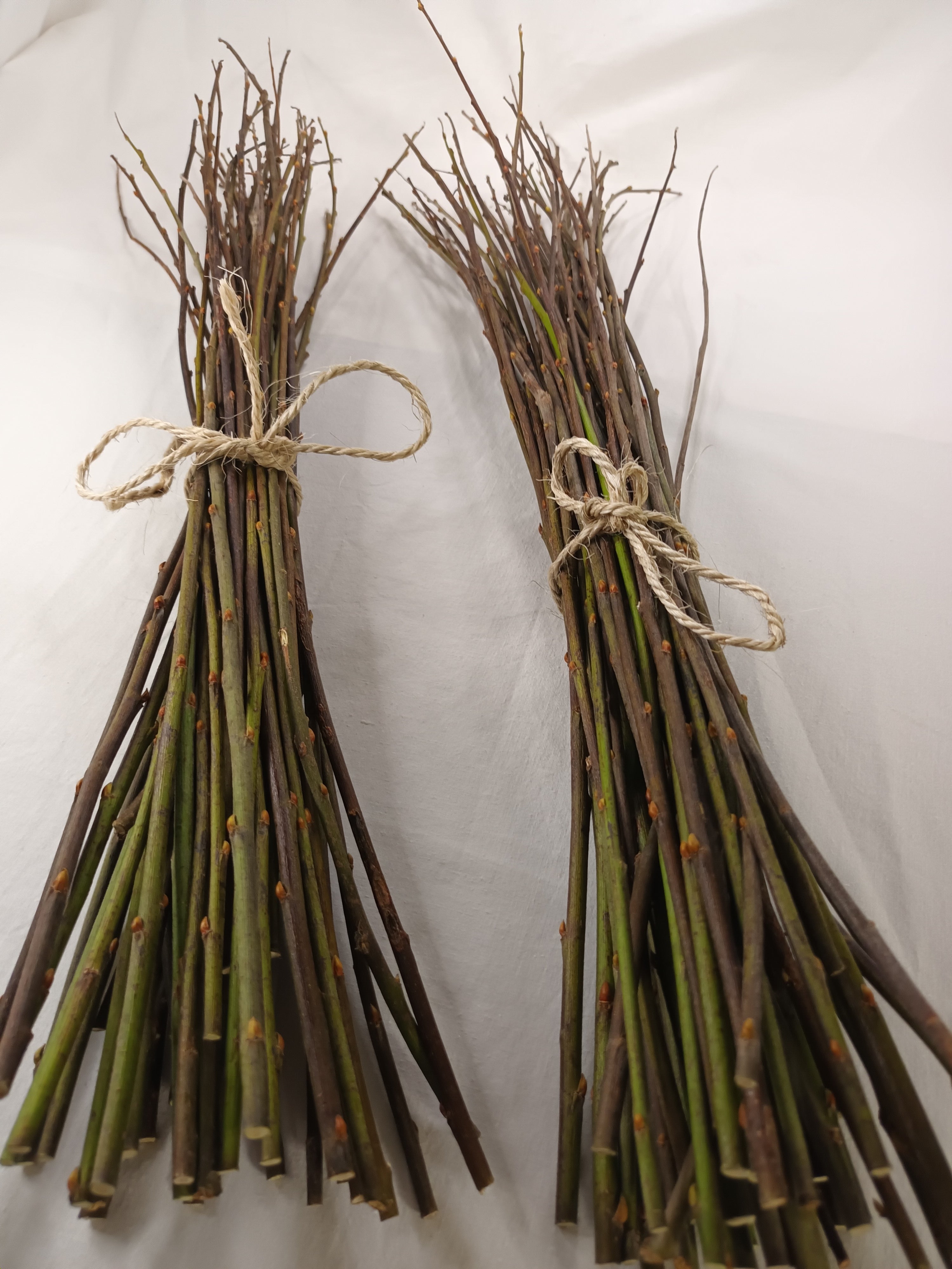 50 Weidenzweige – 50–60 cm – Natur, Holz, DIY, Basteln