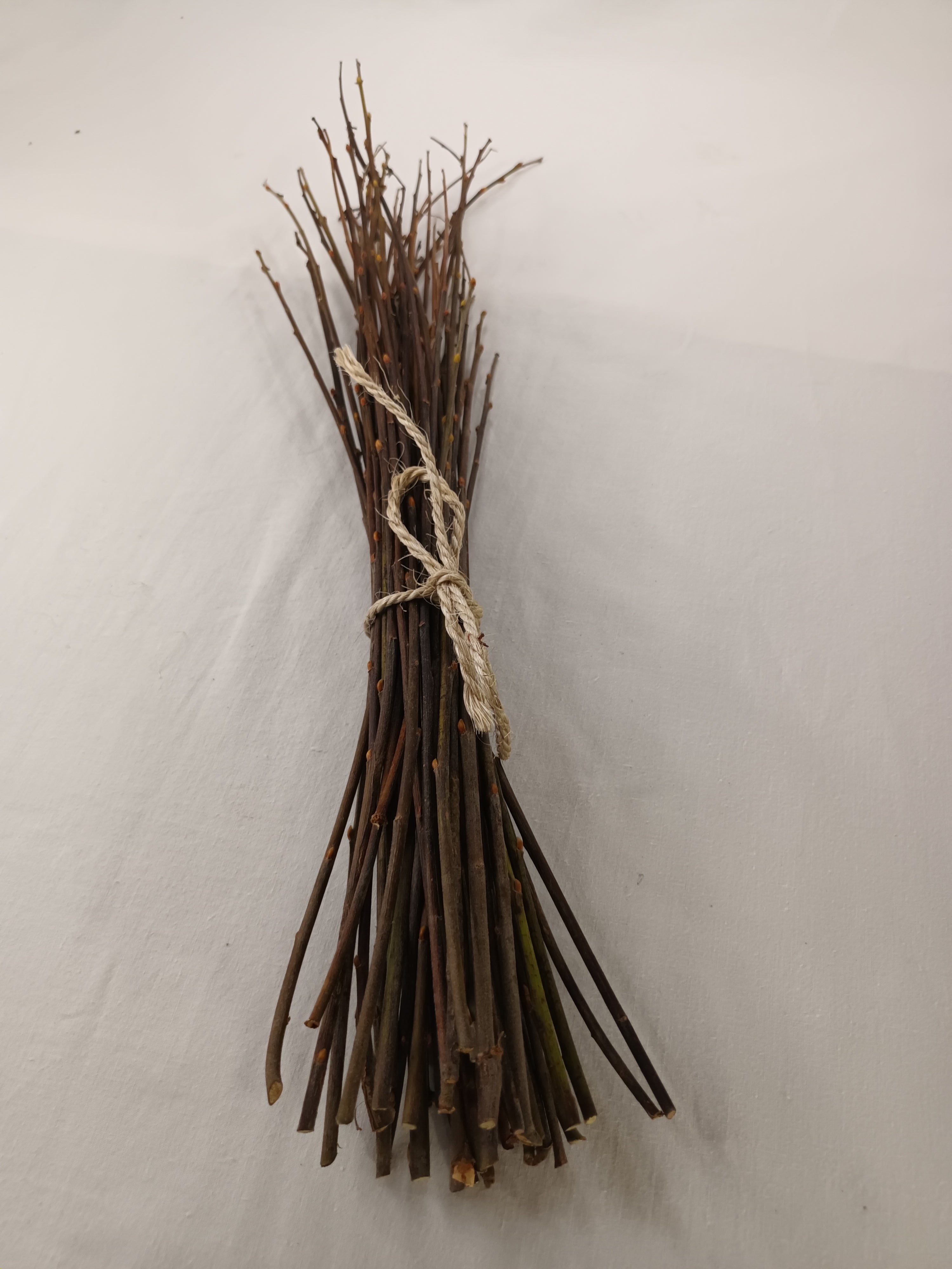 50 Weidenzweige – 30-50 cm – Natur, Holz, DIY, Basteln