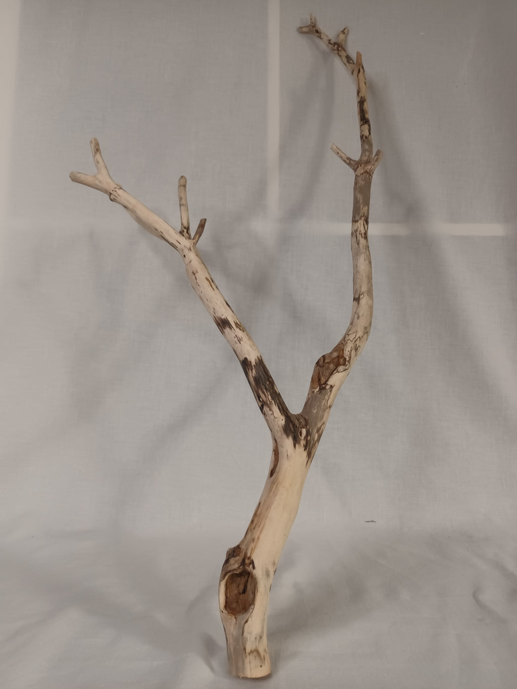 Handgeschliffener Holzast aus Weide – Naturdeko & DIY-Stab (ca. 75 cm)