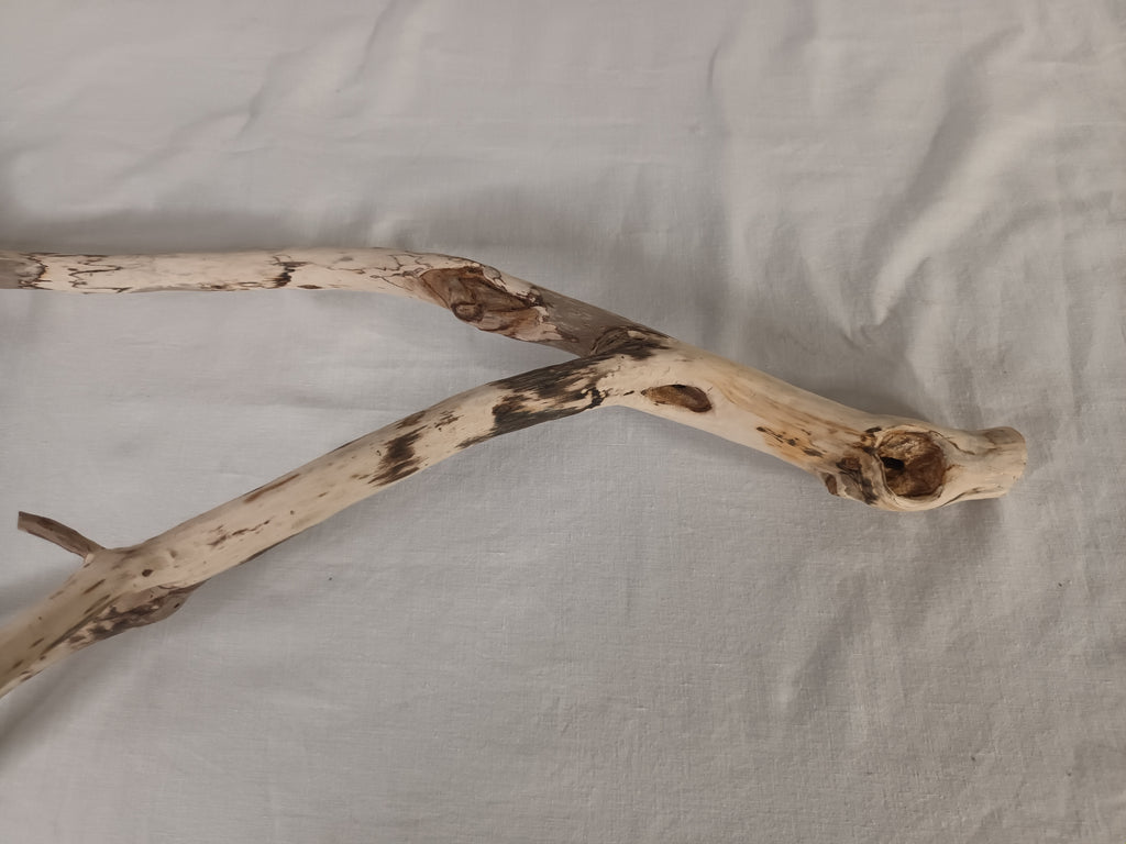 Handgeschliffener Holzast aus Weide – Naturdeko & DIY-Stab (ca. 75 cm)