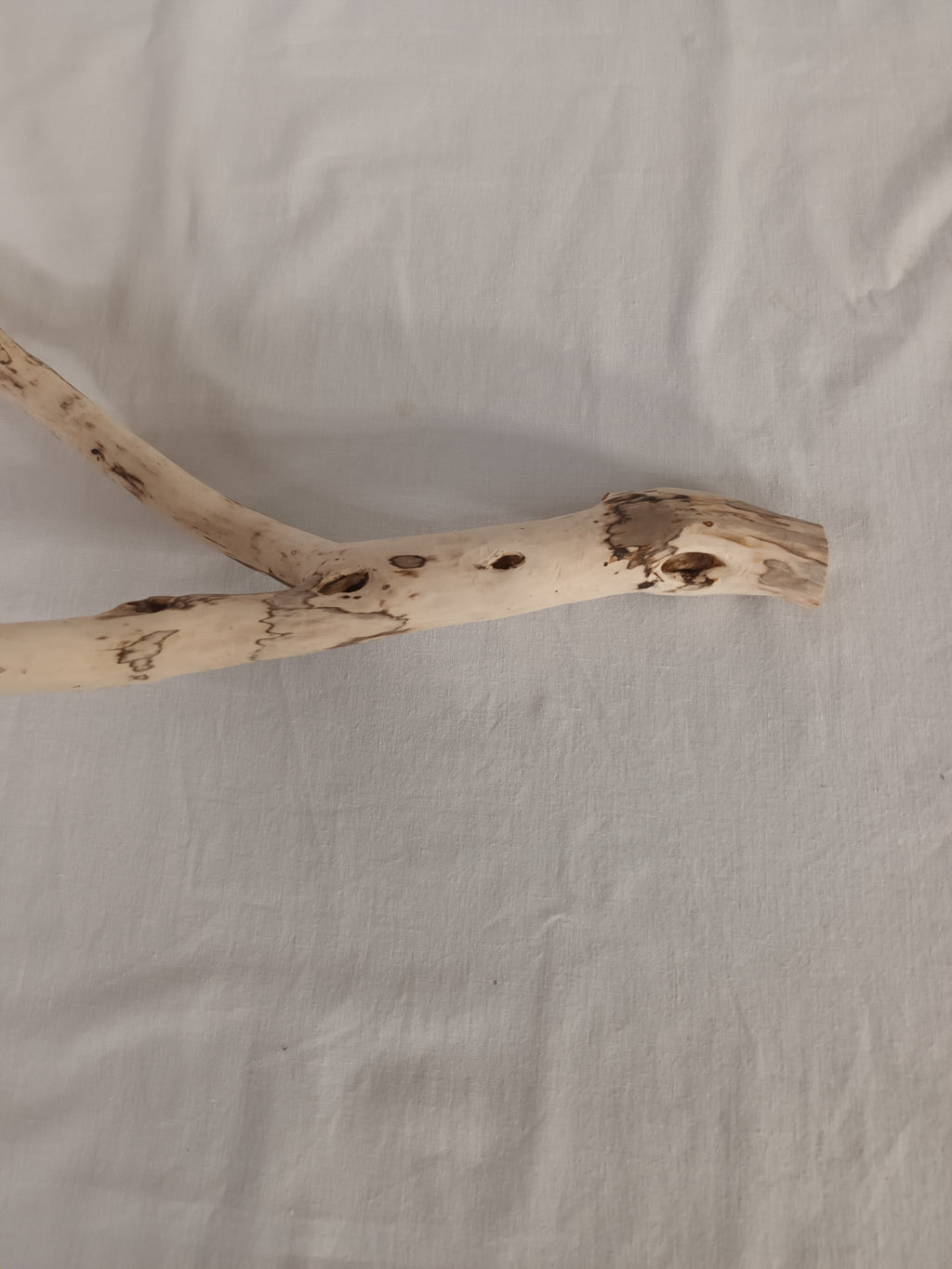 Handgeschliffener Holzast aus Weide – Naturdeko & DIY-Stab (ca. 75 cm)