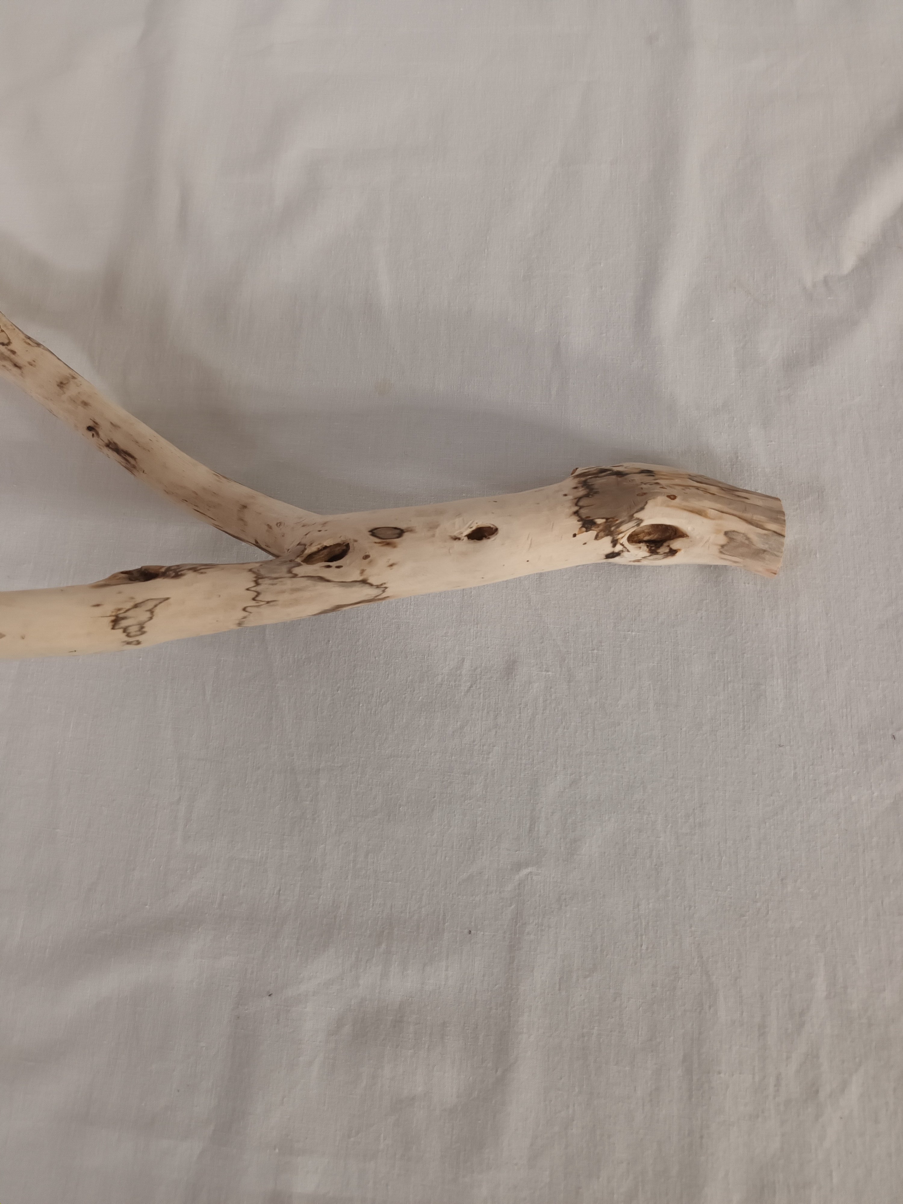 Handgeschliffener Holzast aus Weide – Naturdeko & DIY-Stab (ca. 75 cm)