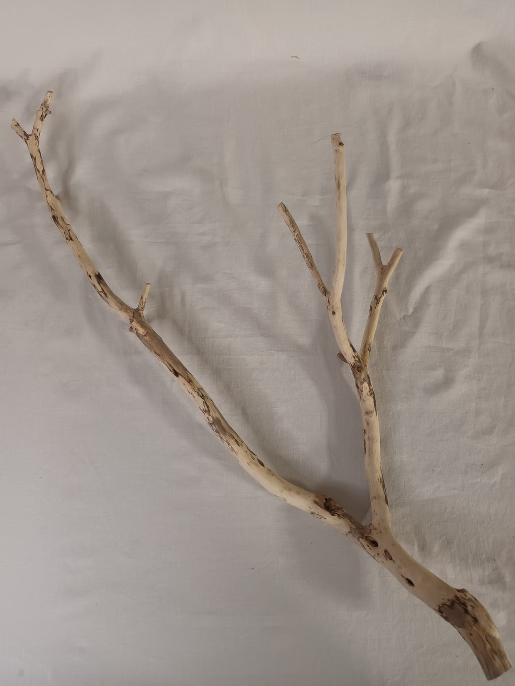 Handgeschliffener Holzast aus Weide – Naturdeko & DIY-Stab (ca. 75 cm)