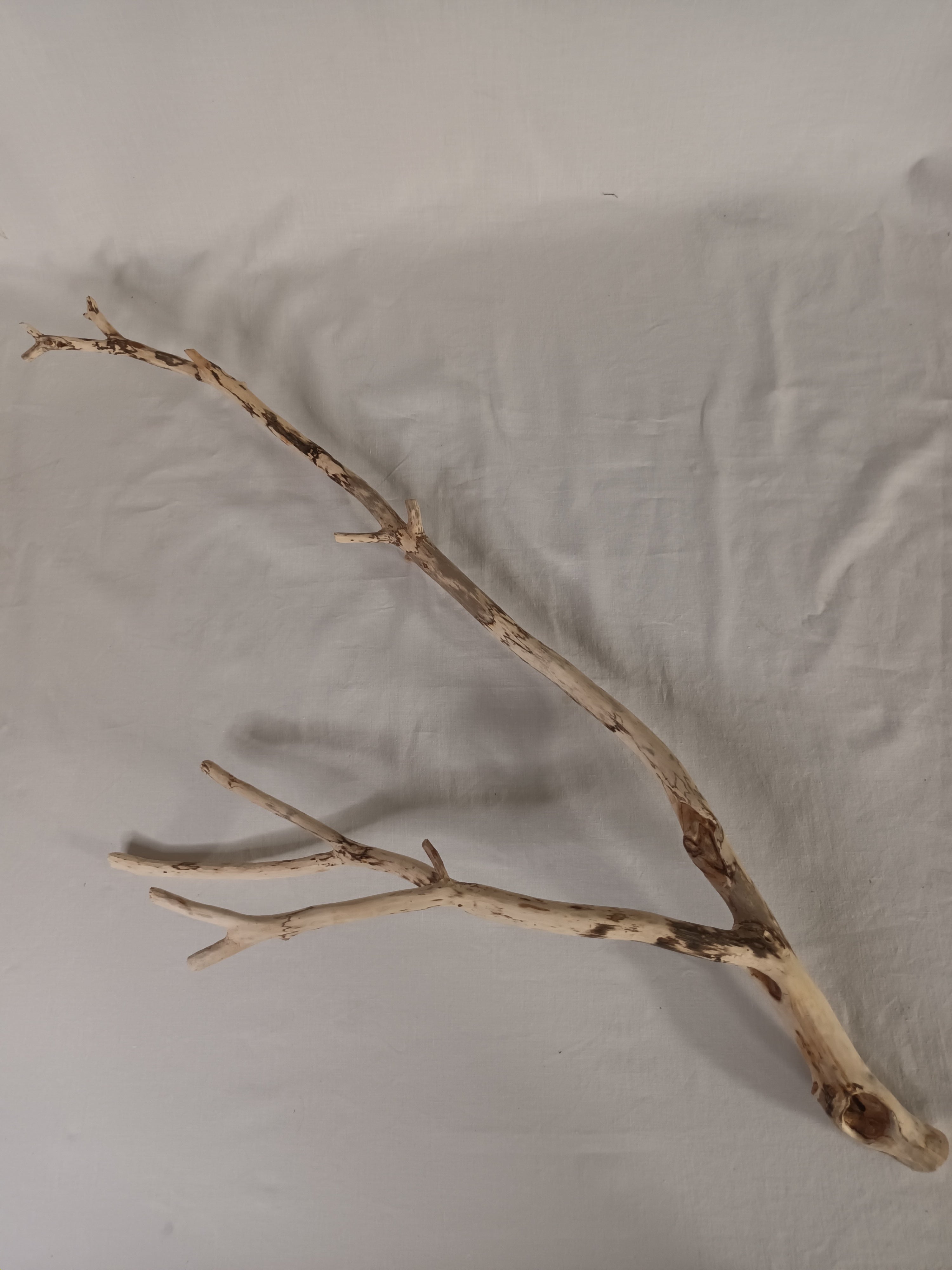 Handgeschliffener Holzast aus Weide – Naturdeko & DIY-Stab (ca. 75 cm)