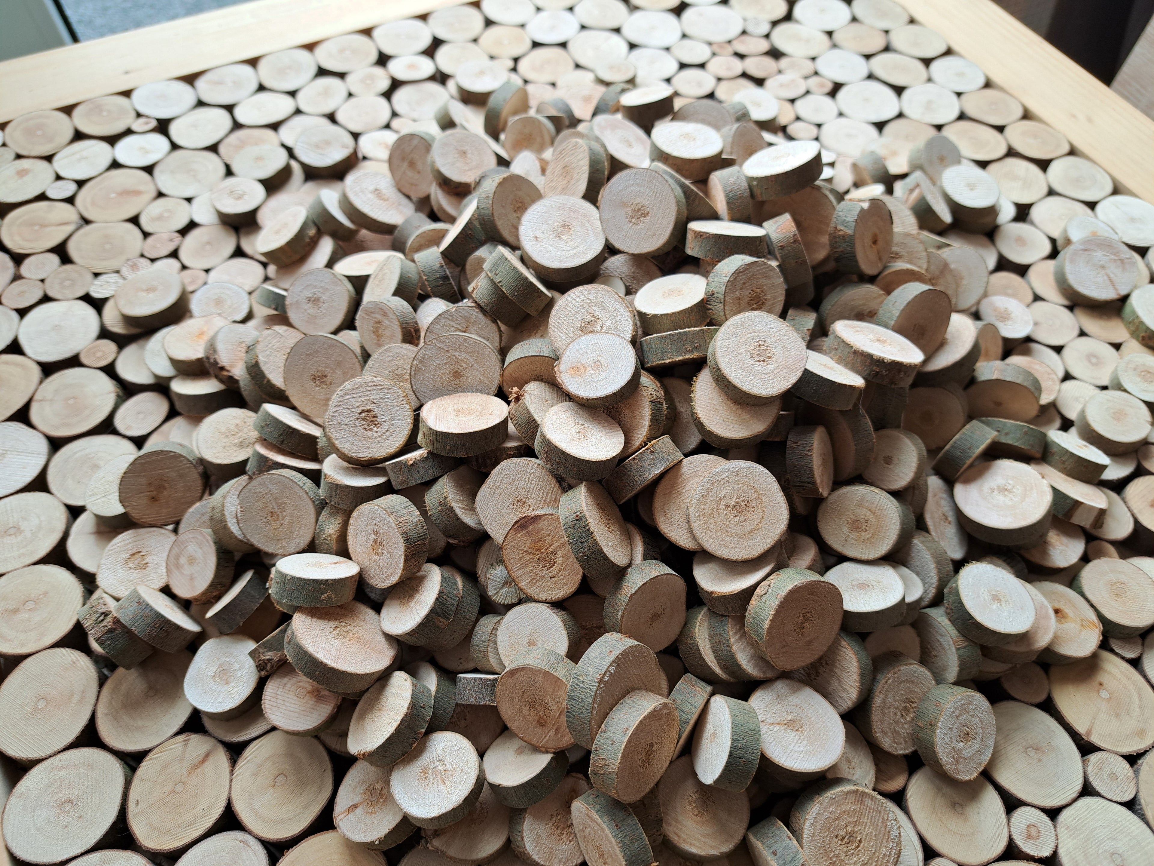 50 Holzscheiben aus Weide – handgeschnitten & naturbelassen