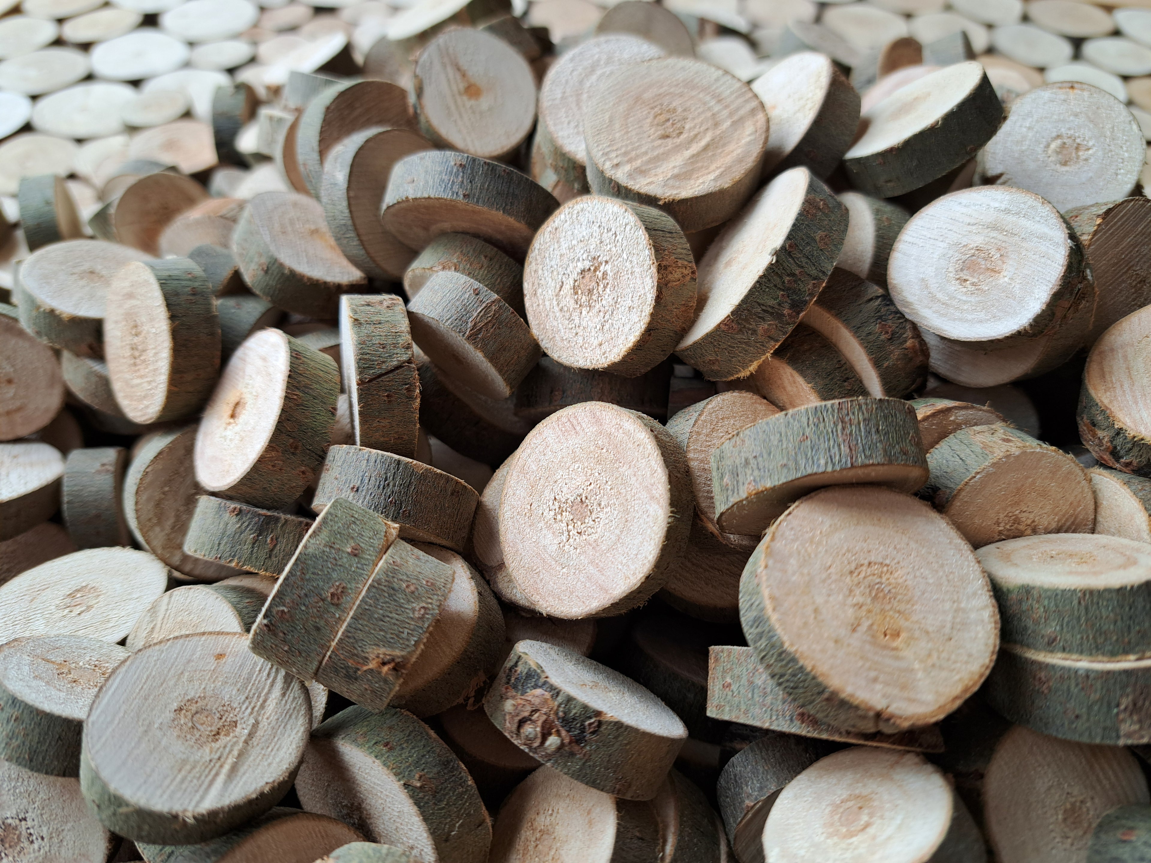 50 Holzscheiben aus Weide – handgeschnitten & naturbelassen