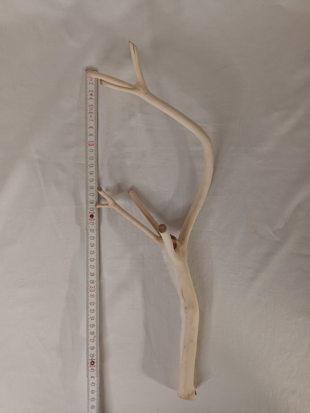 Handgeschliffener Holzast aus Weide – Naturdeko & DIY-Stab (ca. 45 cm)