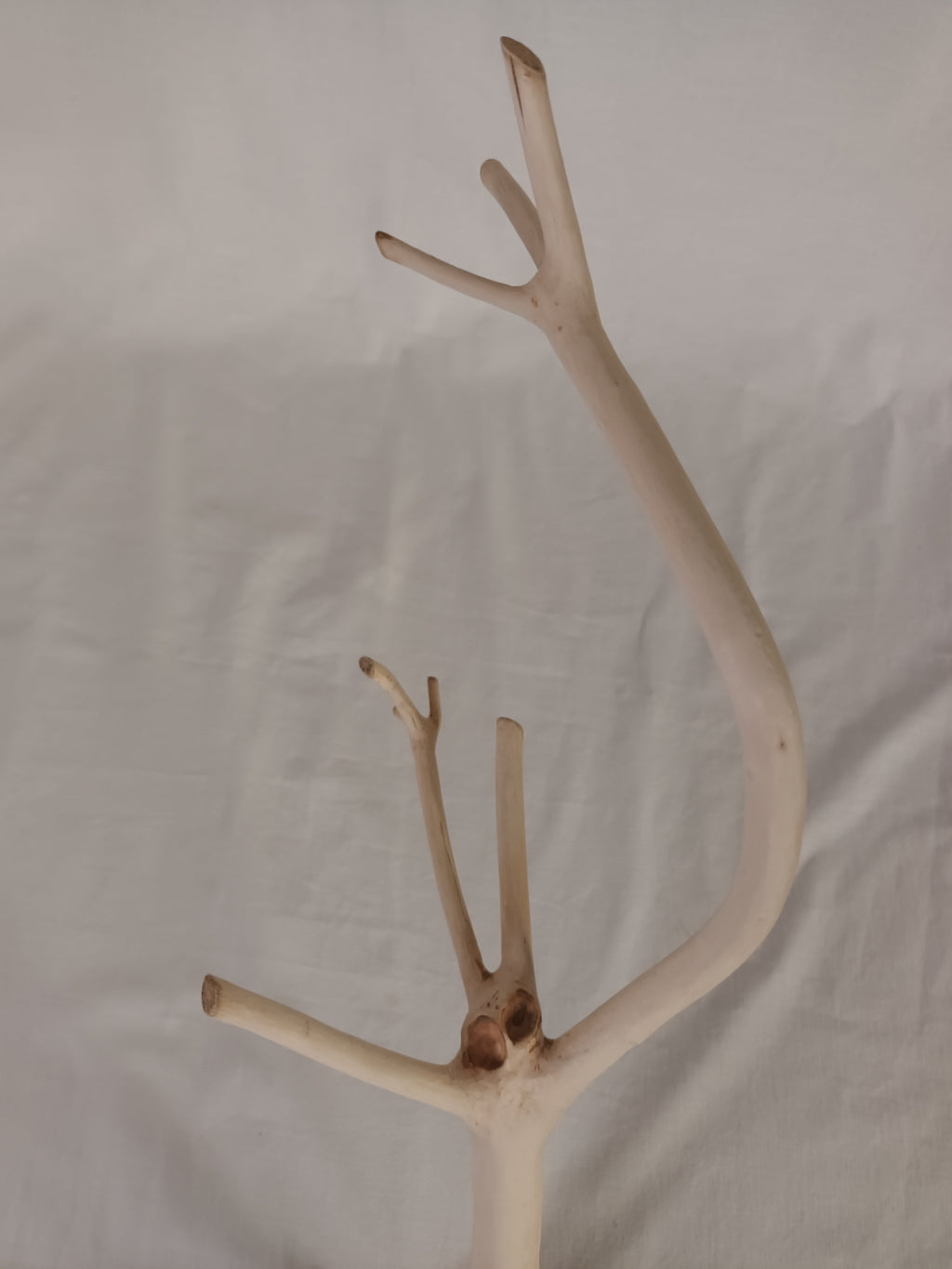 Handgeschliffener Holzast aus Weide – Naturdeko & DIY-Stab (ca. 45 cm)