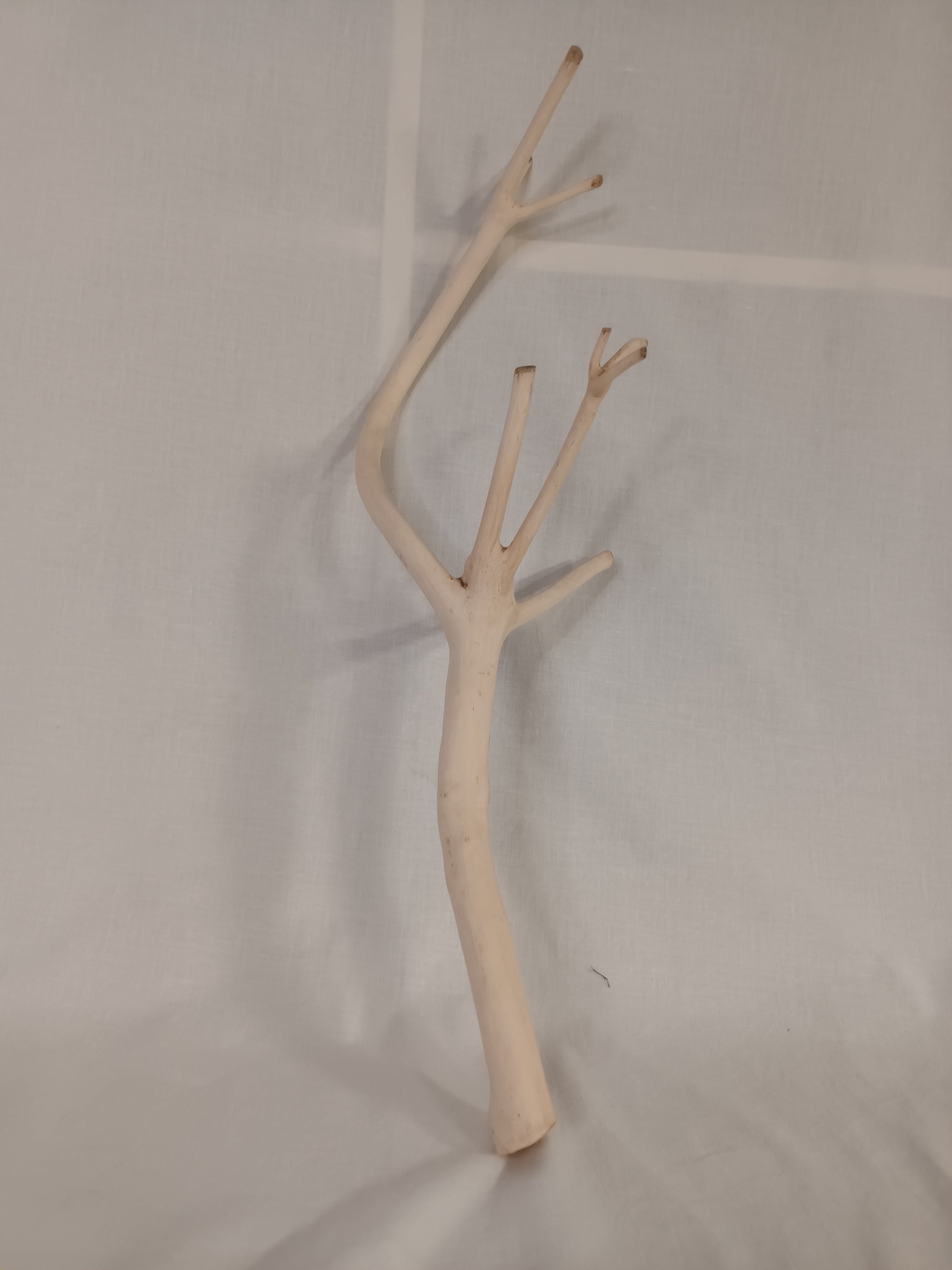 Handgeschliffener Holzast aus Weide – Naturdeko & DIY-Stab (ca. 45 cm)