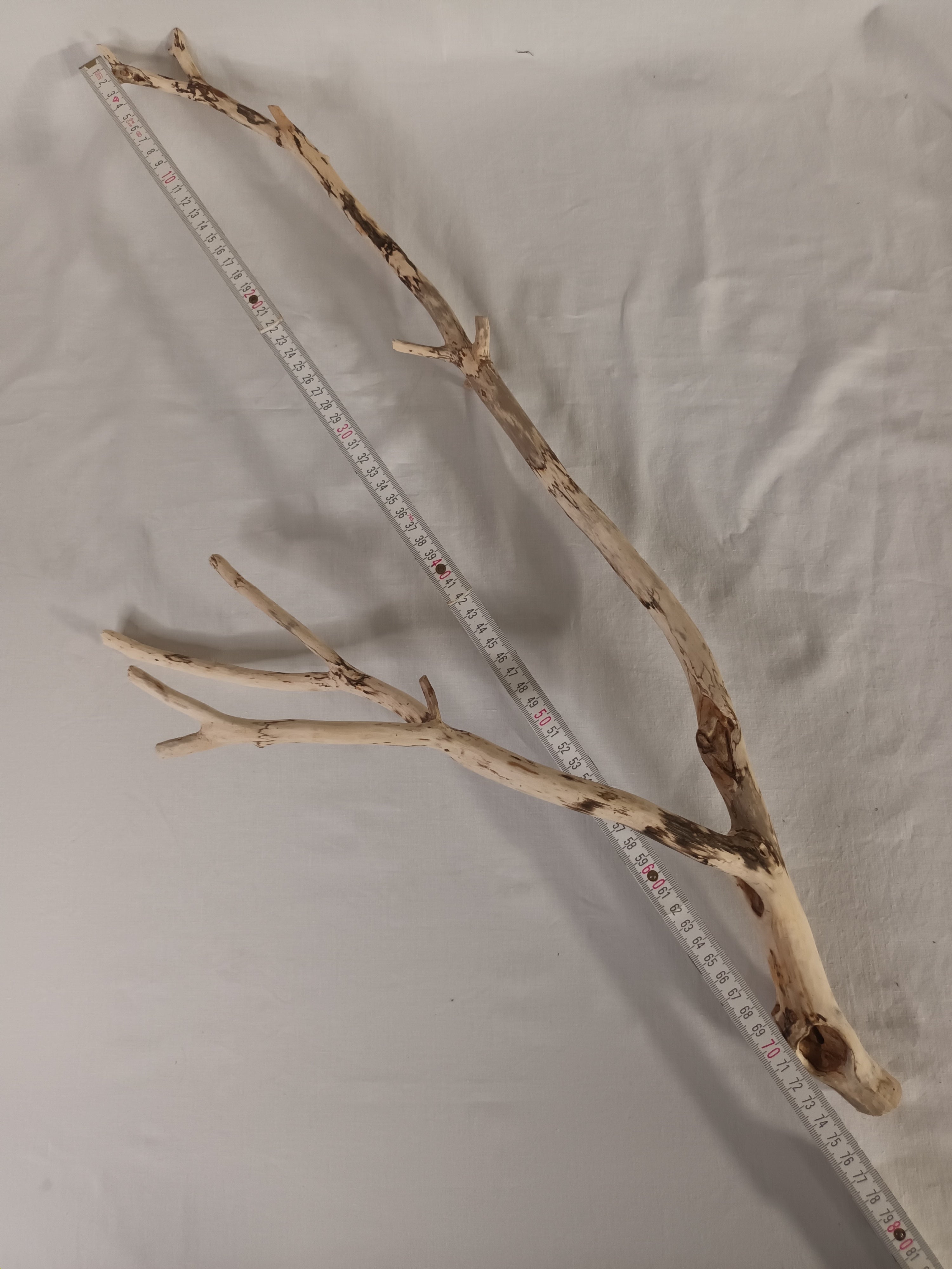 Handgeschliffener Holzast aus Weide – Naturdeko & DIY-Stab (ca. 75 cm)