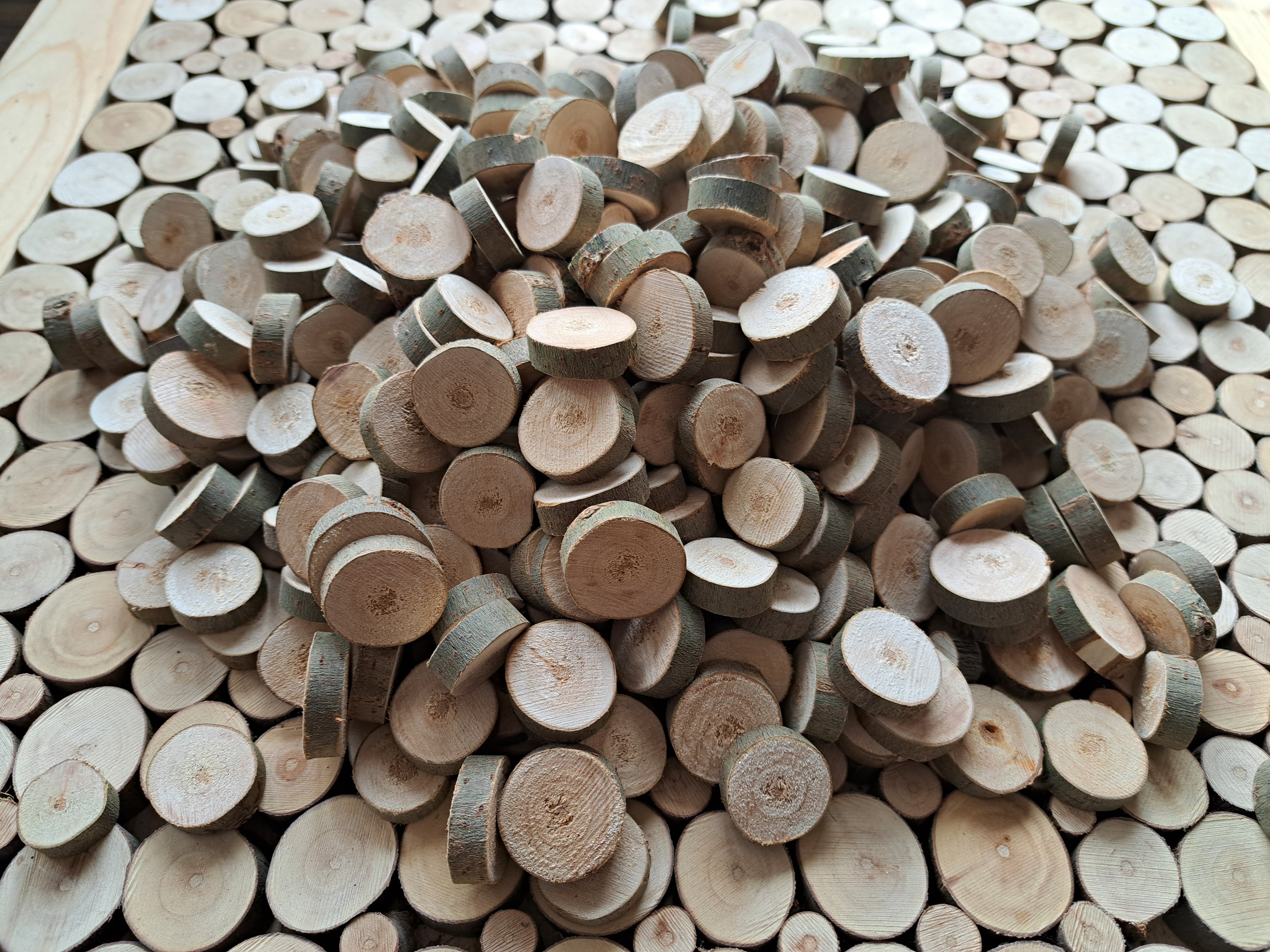 50 Holzscheiben aus Weide – handgeschnitten & naturbelassen